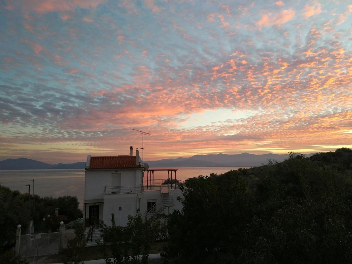 Seaside Boutique Villa Volos Eksteriør billede