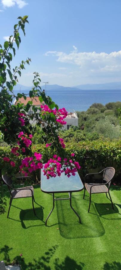 Seaside Boutique Villa Volos Eksteriør billede